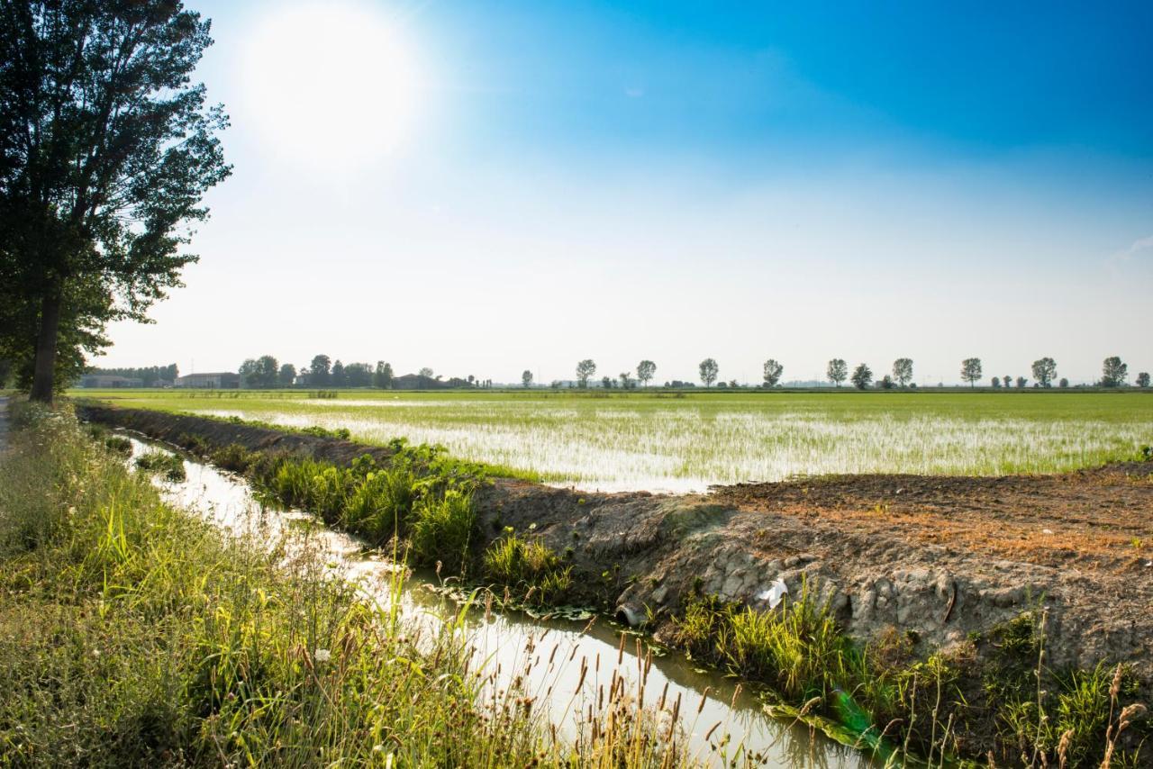 Agriturismo Lecolombare โนกาโรเล รอคคา ภายนอก รูปภาพ